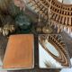 Vintage triptych barber mirror 24x59cm