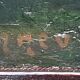 Tableau impressionniste, huile sur toile signée sonneville  + 4 cd neufs