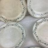 5 Assiettes plates anciennes Badonviller france
