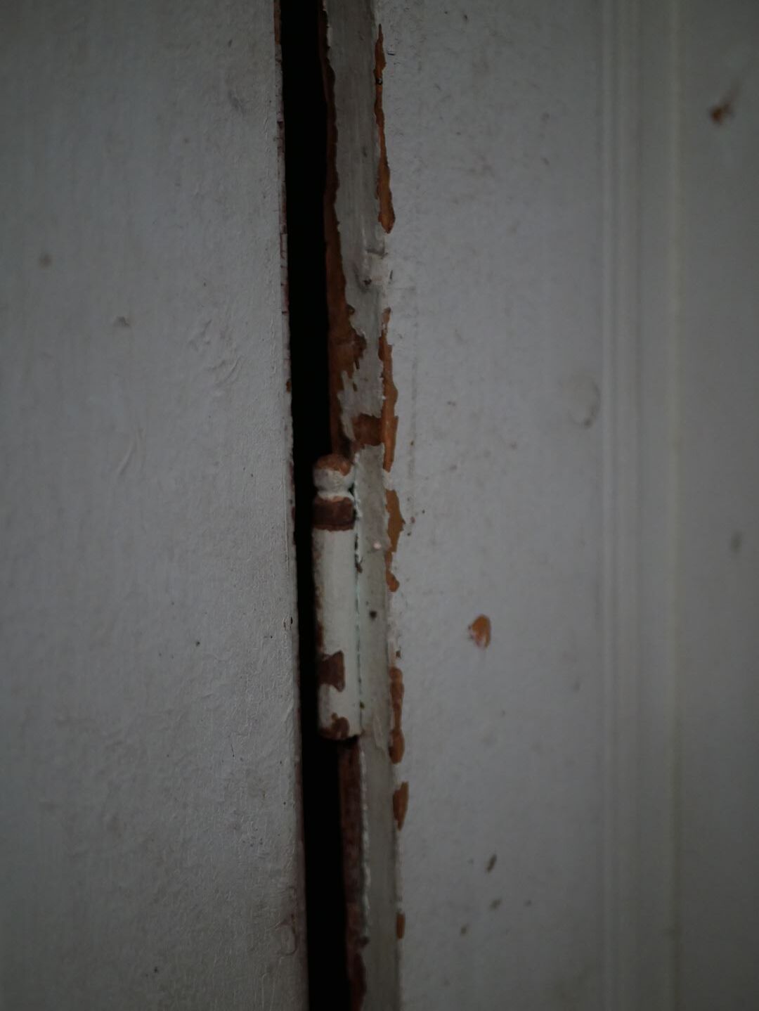 Antique painted wooden doors