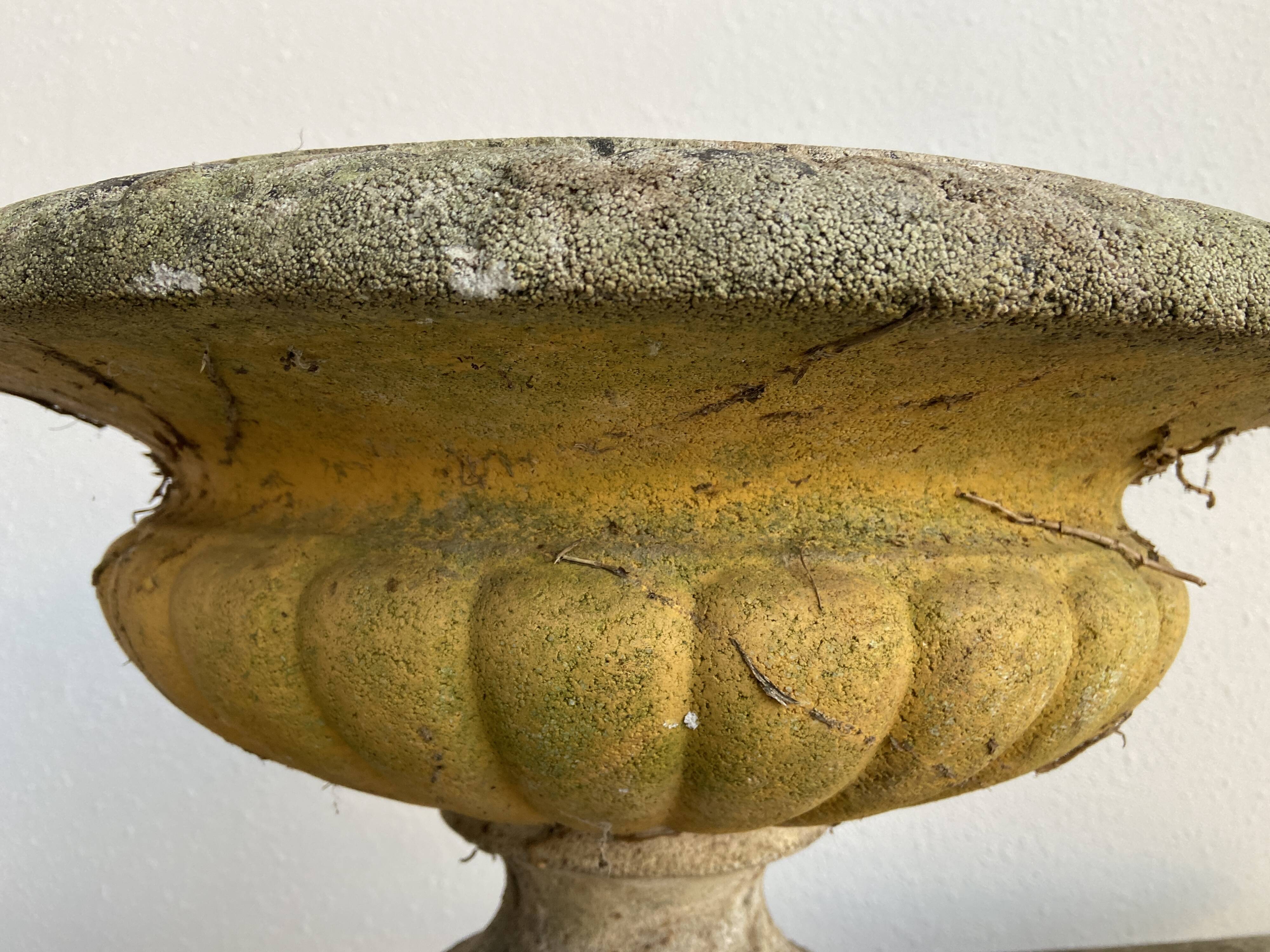 Vintage Medici vase cutter