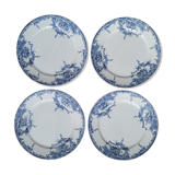Set 4 Plates Dolphin