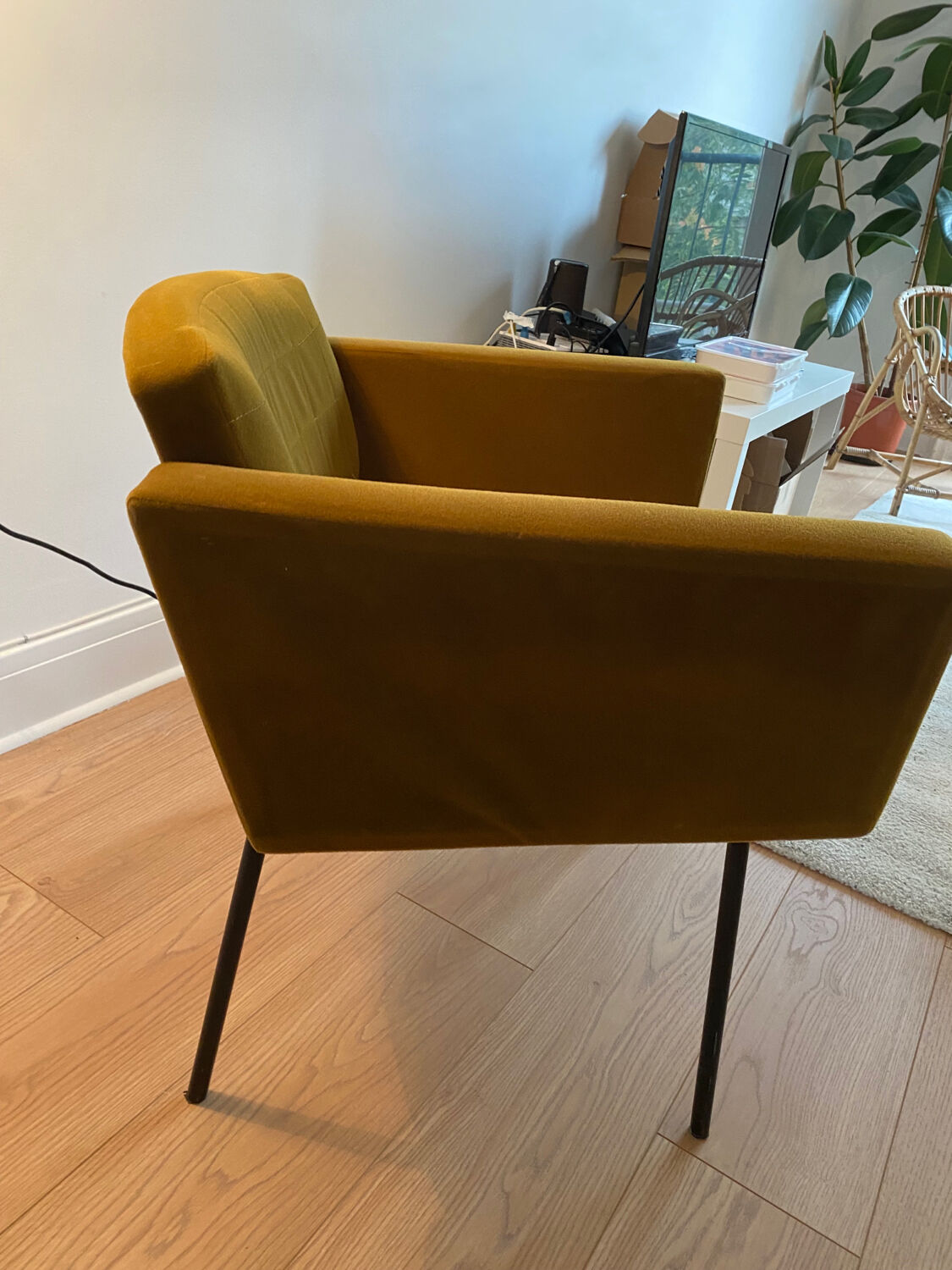 Guariche “Council” Armchair
