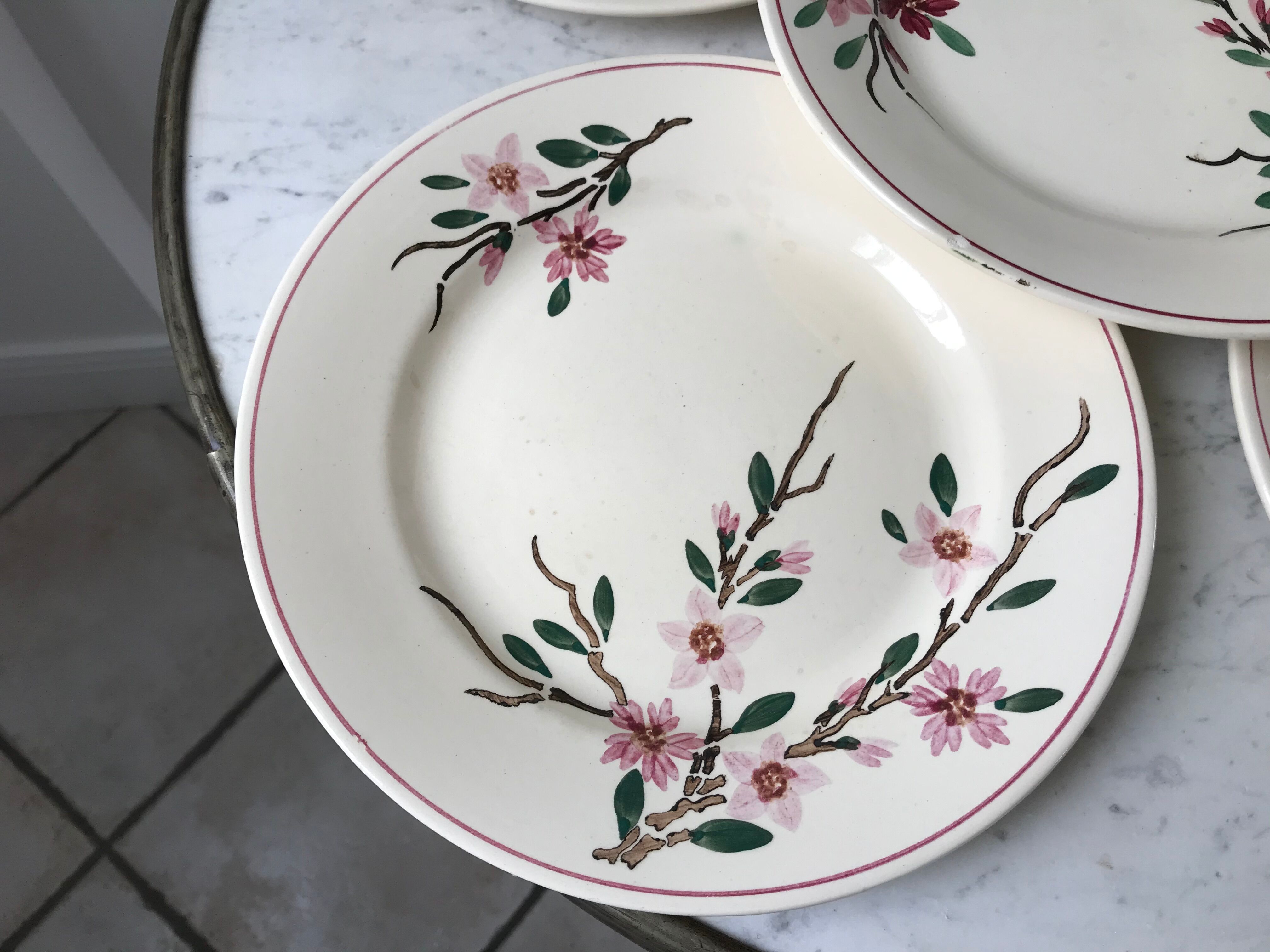 5 flat plates Digoin Sarreguemines model Aigues-Vives hand painted years 30-40