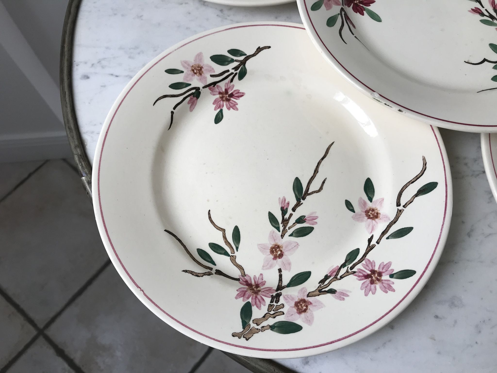 5 flat plates Digoin Sarreguemines model Aigues-Vives hand painted years 30-40