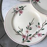 5 flat plates Digoin Sarreguemines model Aigues-Vives hand painted years 30-40