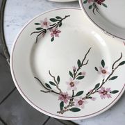 5 flat plates Digoin Sarreguemines model Aigues-Vives hand painted years 30-40