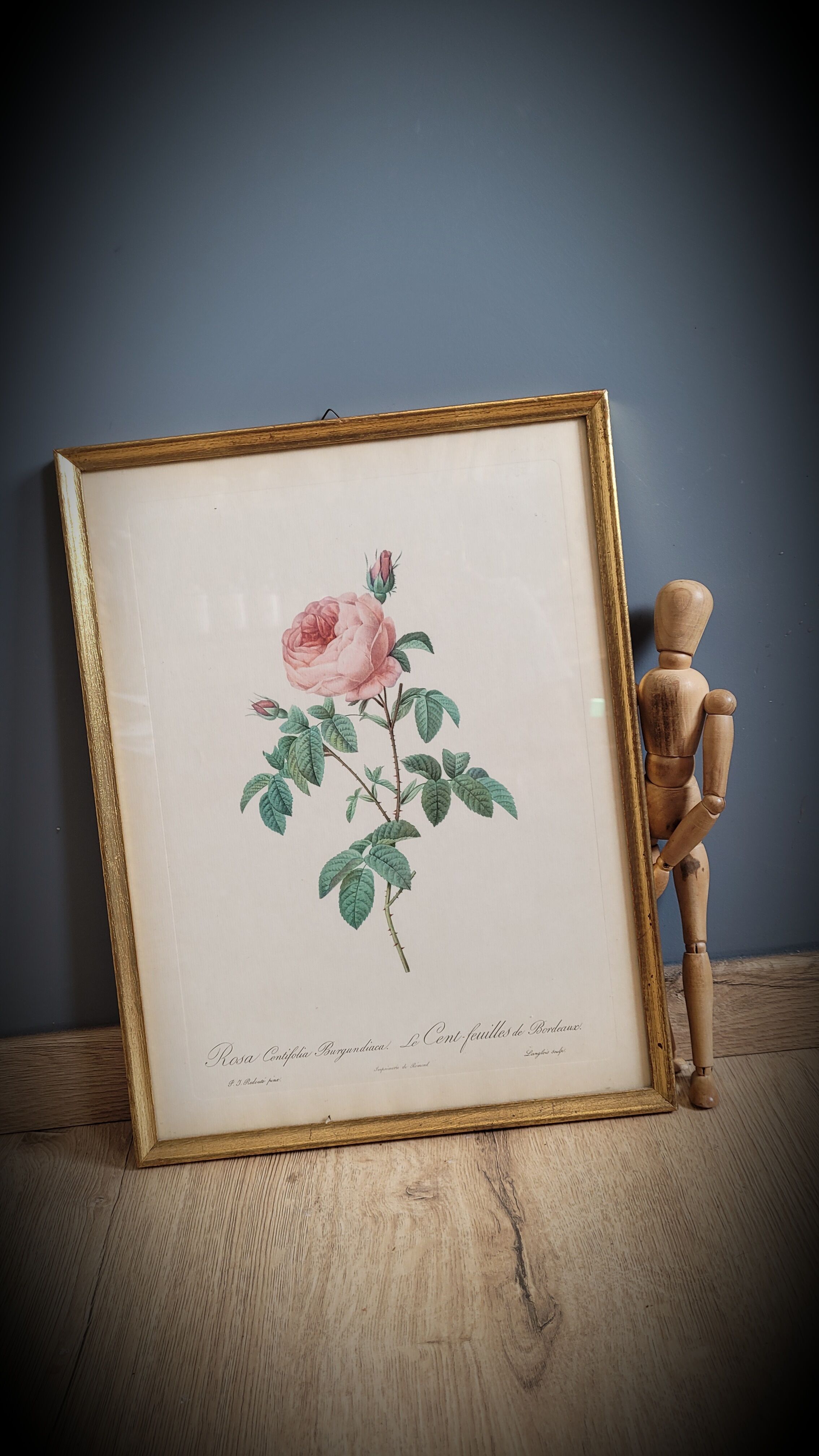 Frame Litho rose Bordeaux