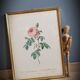 Frame Litho rose Bordeaux