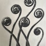 Héliogravure / Photogravure originale, encadrée -  Karl Blossfeldt - 1942