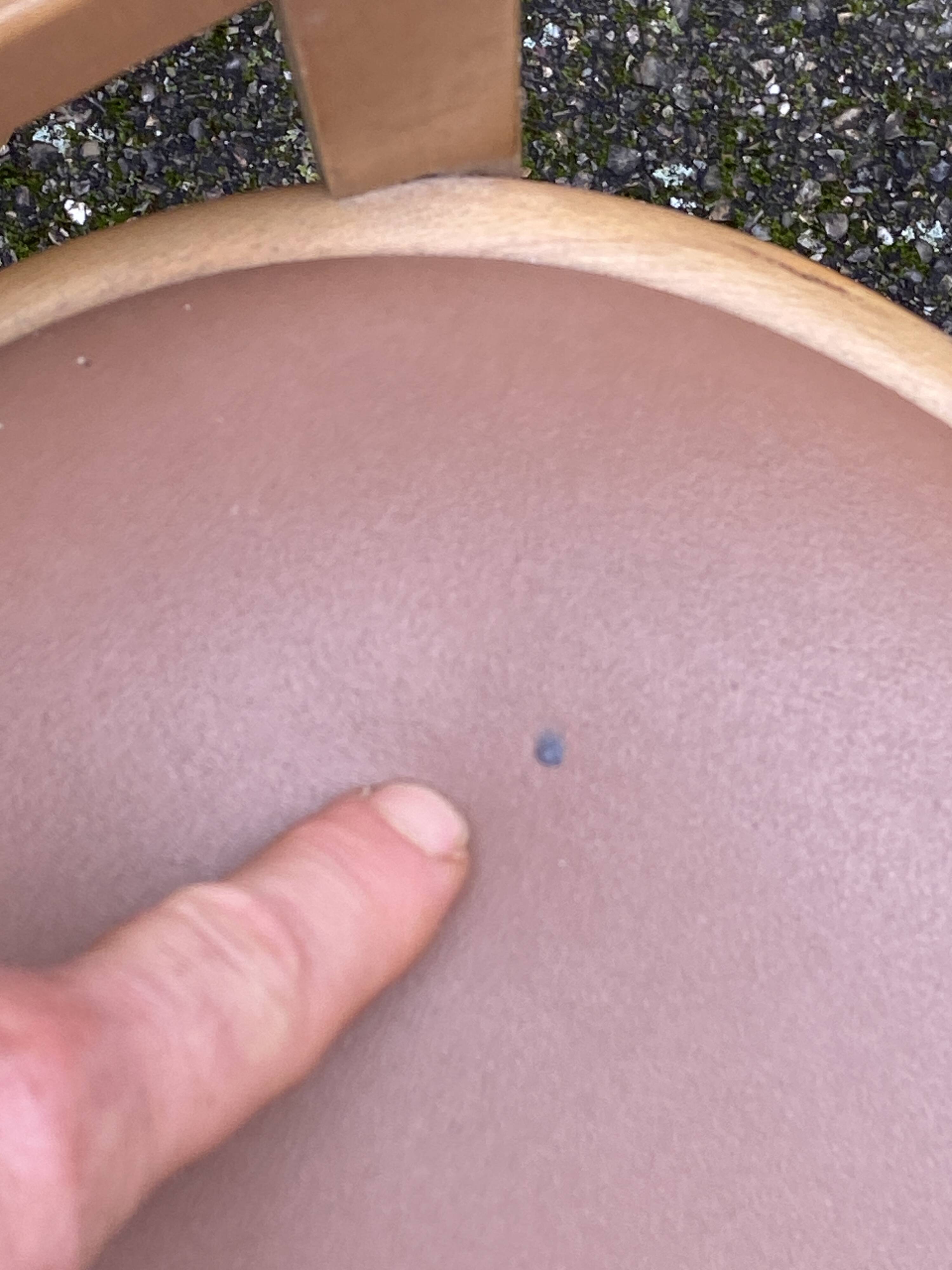 Set of 6 Brasserie bistro chairs bentwood bistro chair shabby chic baumann