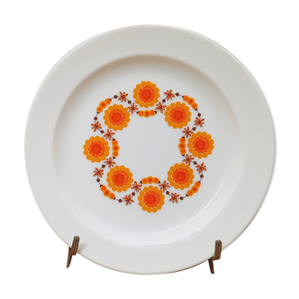 Set 6 assiettes dessert Arcopal