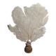 Antique gorgonian coral, Venus fan, on solid wood base, 58 cm