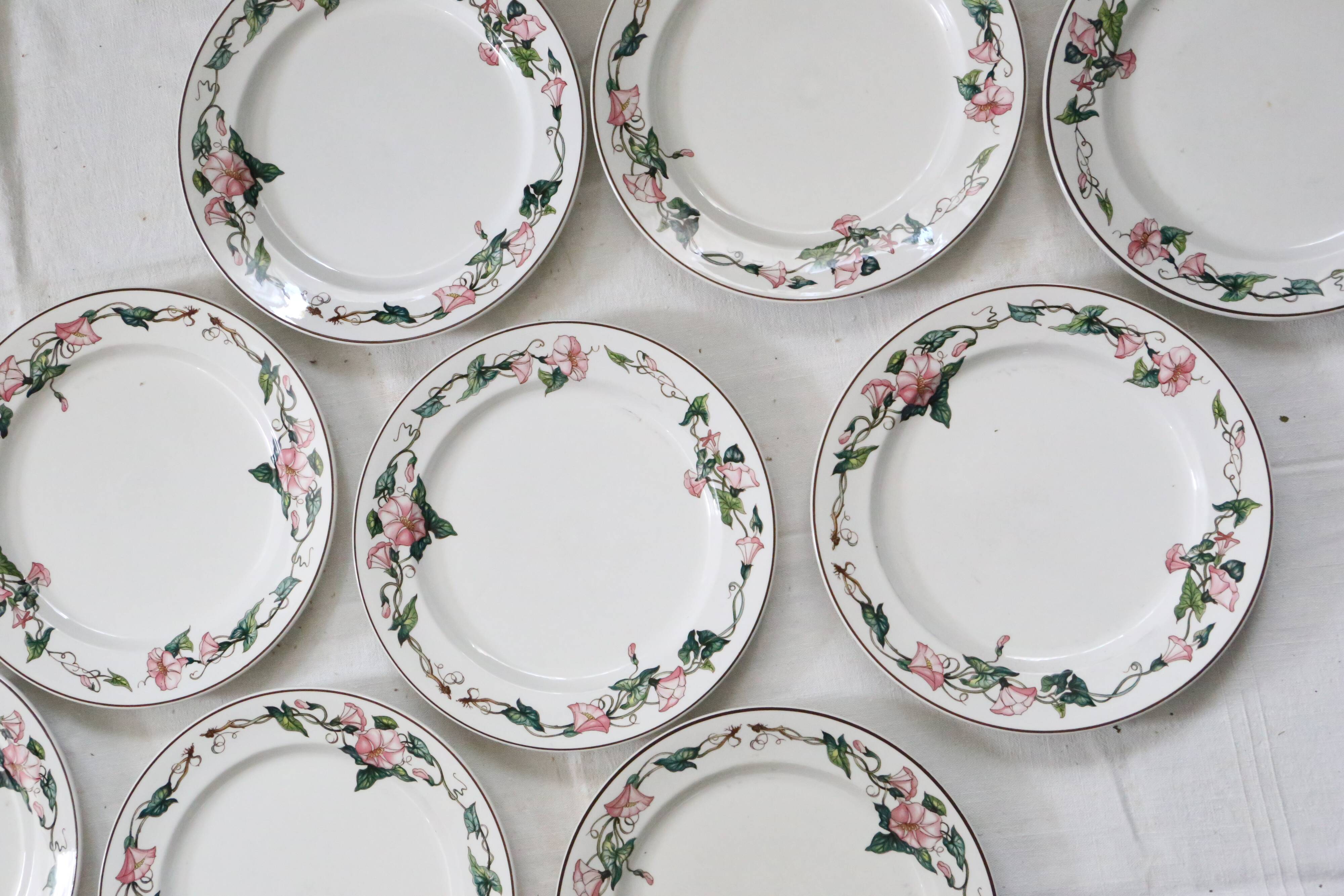 Flat plates 9 earthenware, model Palermo de Villeroy and Boch