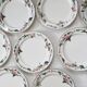 Flat plates 9 earthenware, model Palermo de Villeroy and Boch