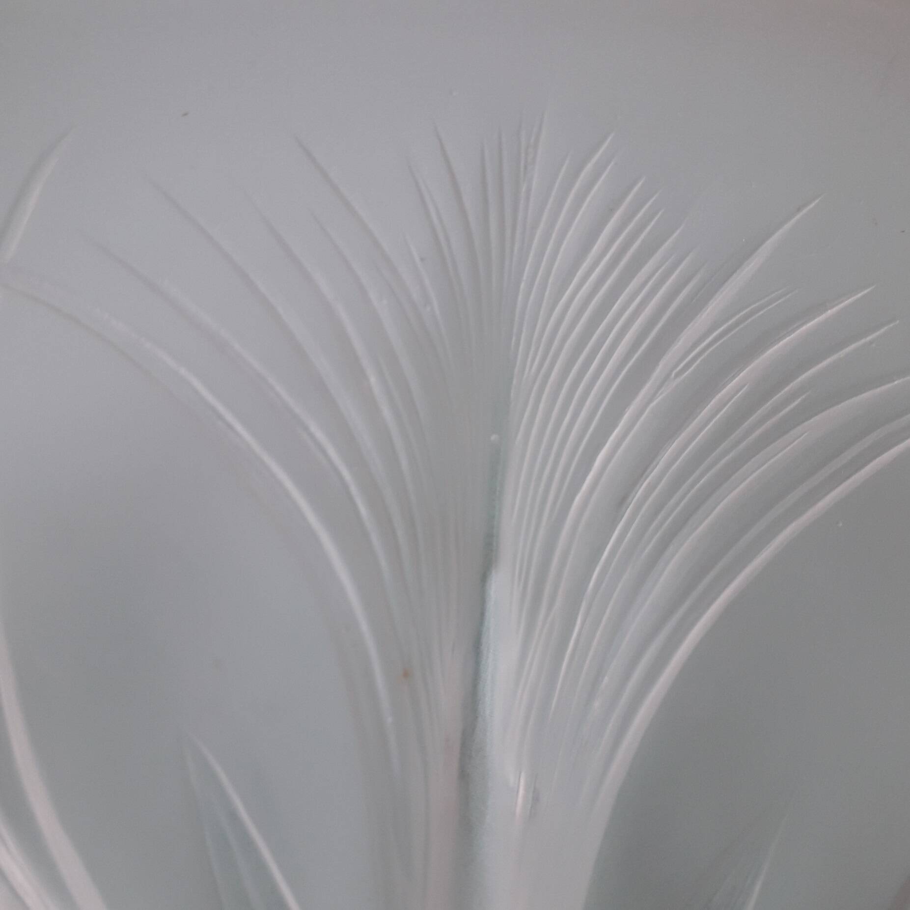 Verlys glass cup