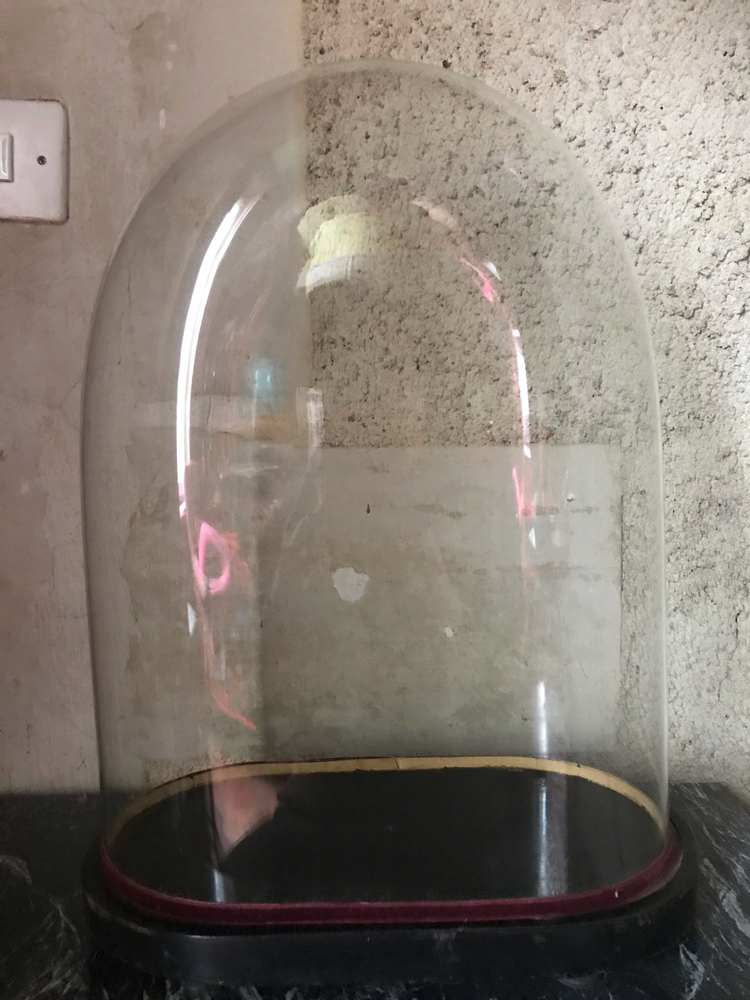 Globe de mariée napoléon iii