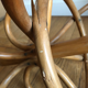 Porte manteau perroquet