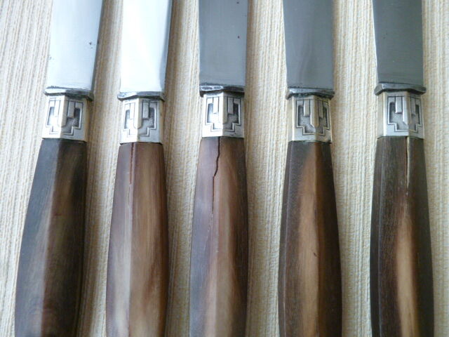Set of 5 table knives stainless steel and bovine horn