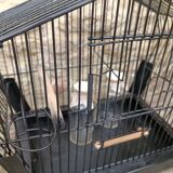 Bird cage from the 1950s-1960s anco