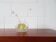 Vase en verre de Walther 1960
