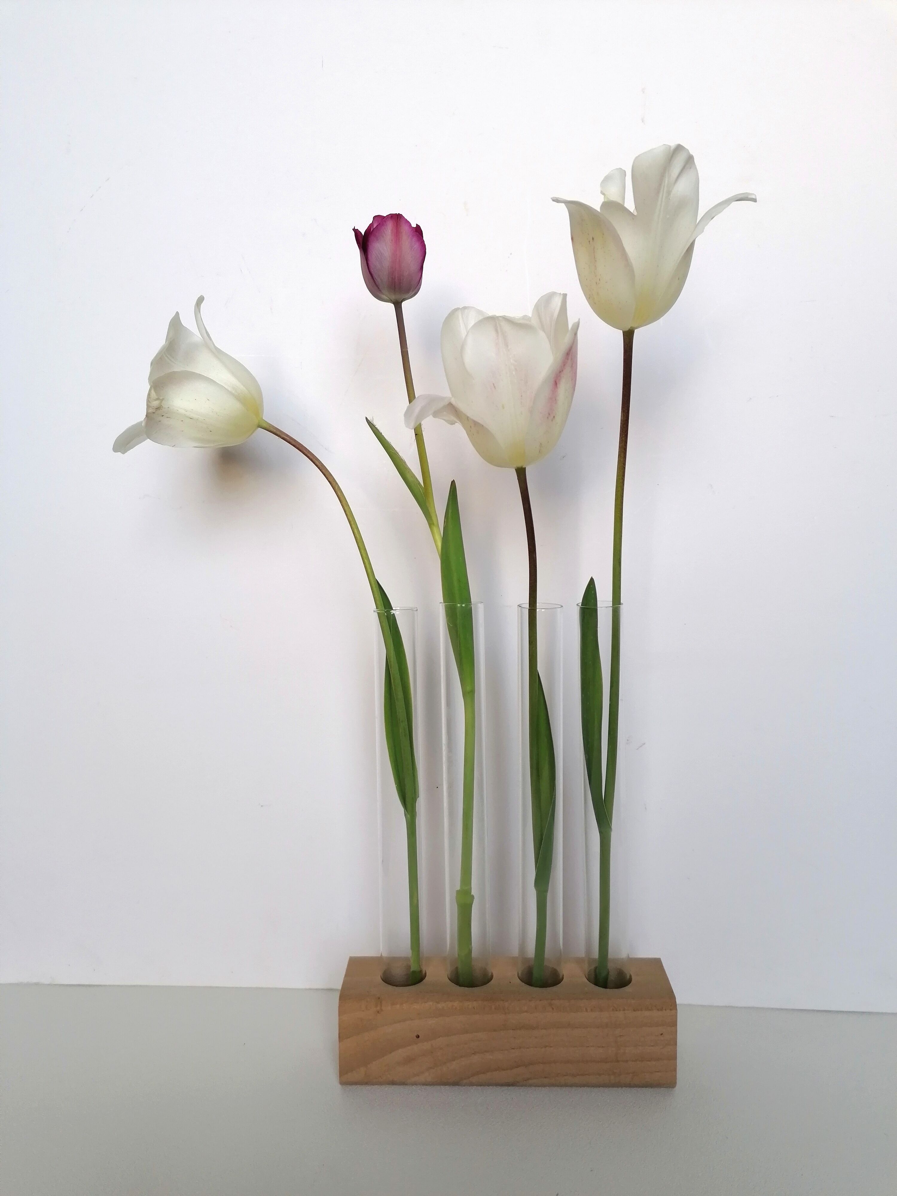 Soliflore in glass tubes