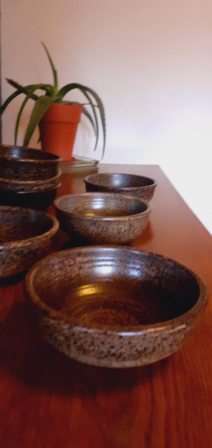 18 assiettes à soupe, jattes en grès de Salins les Bains année 60