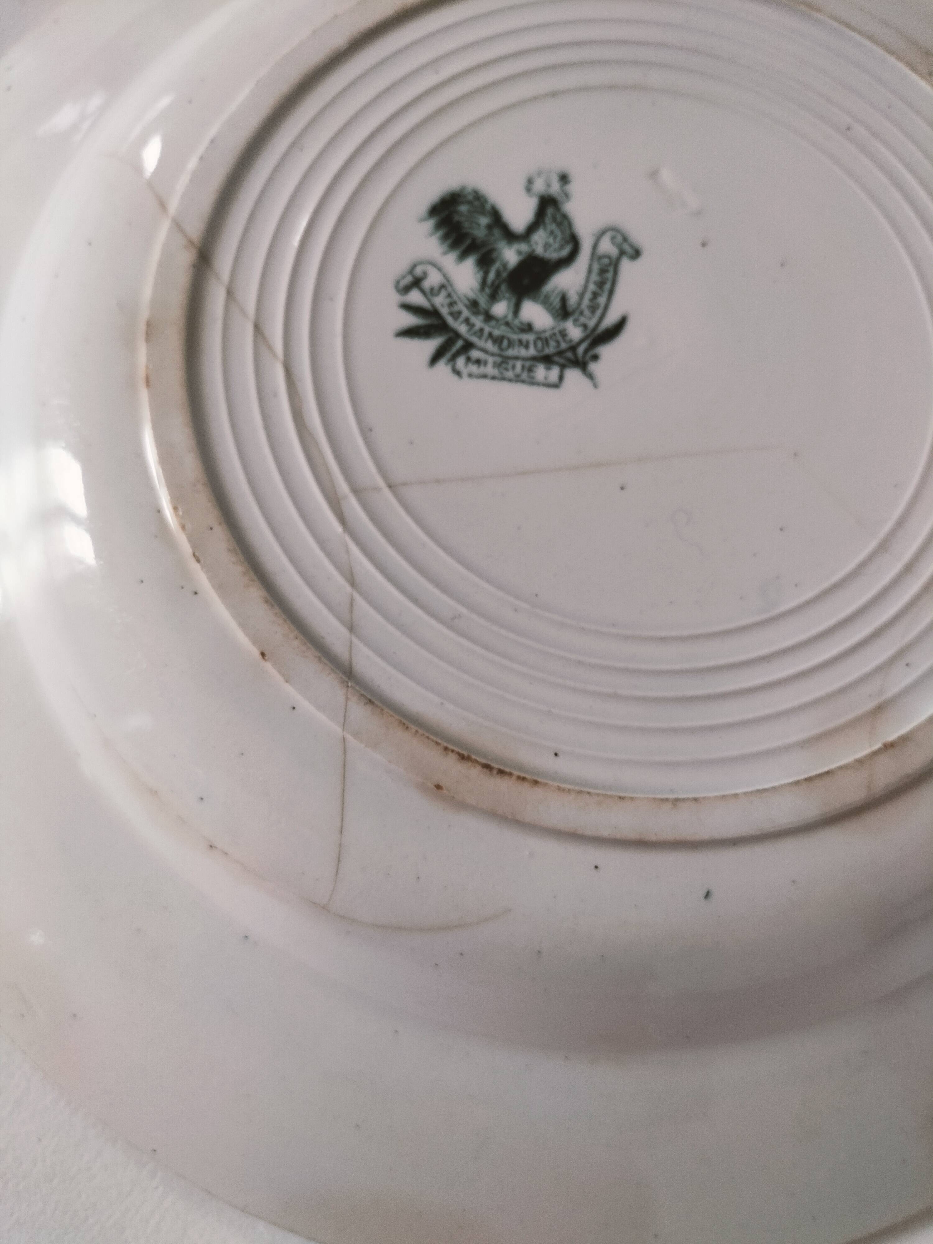 Antique plate from the Saint-Amandinoise pottery factory, Muguet pattern, circa 1900