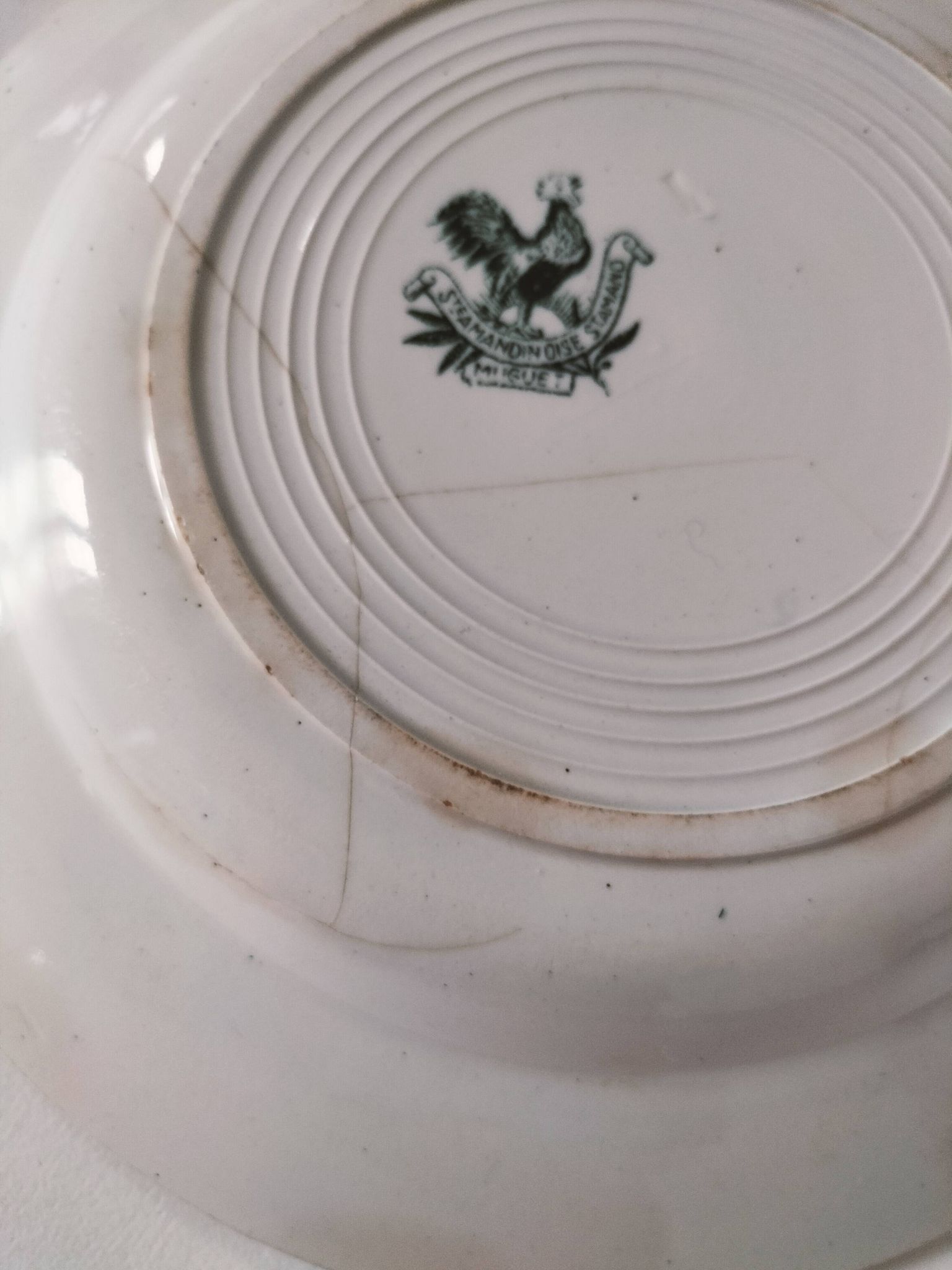 Antique plate Faïencerie Saint-Amandinoise model Muguet from the 1900s