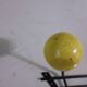 Wall pad 6 balls color 50s