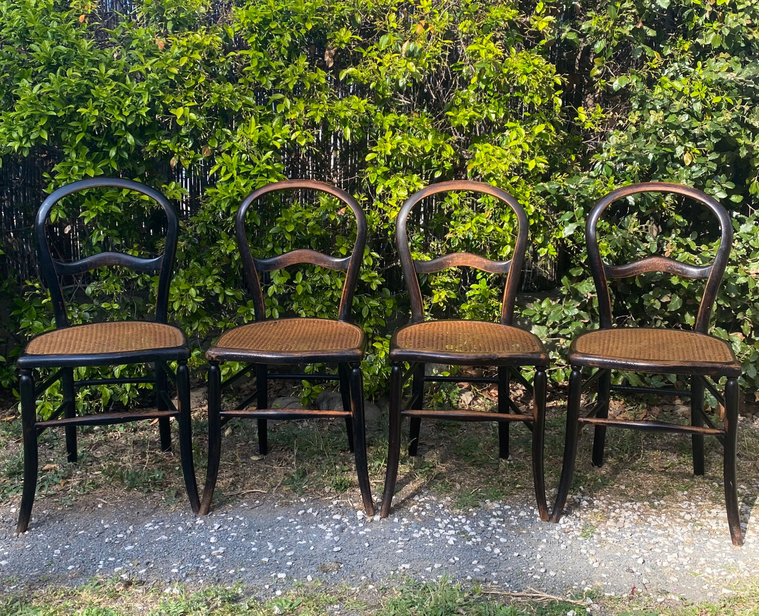 4 Napoleon III blackened wooden chairs
