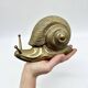 "XXL" brass snail – Germany, 1970s