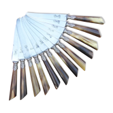 Series of 12 knives in their box, horn handle and steel blade early twentieth century