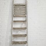 Painter's ladder