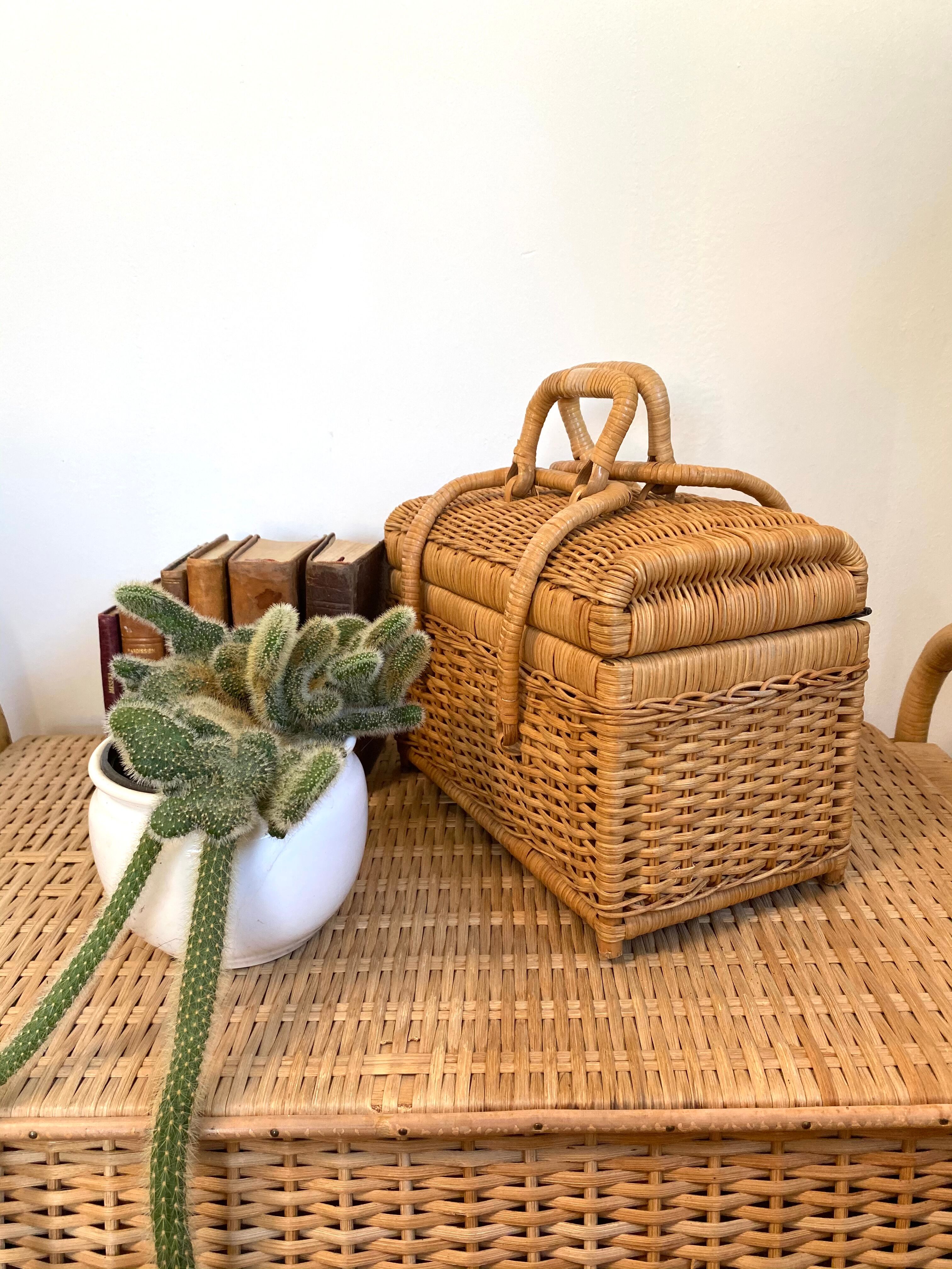 Wicker rattan basket suitcase from the 
