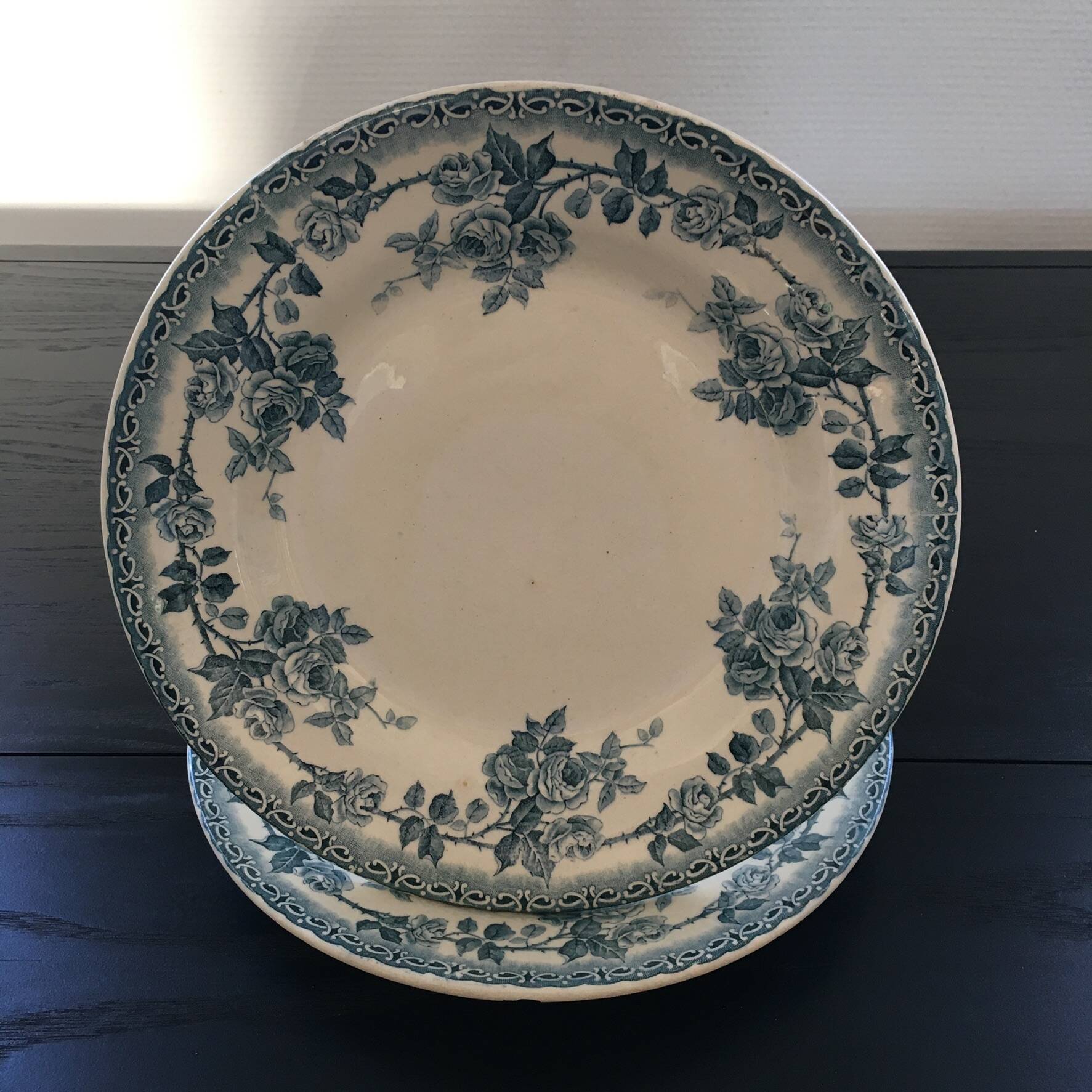 Pair of Terre de Fer plates