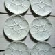 6 oyster plates in white Limoges porcelain