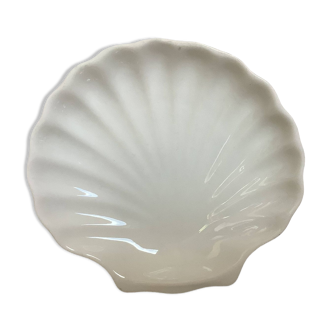 Empty baguier scallop shell pocket M