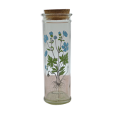 Ancient botanical jar Ranunculus Acris