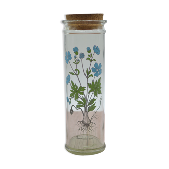 Ancient botanical jar Ranunculus Acris