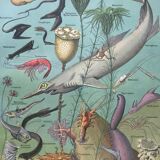 Ancient oceanography board