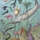 Ancient oceanography board