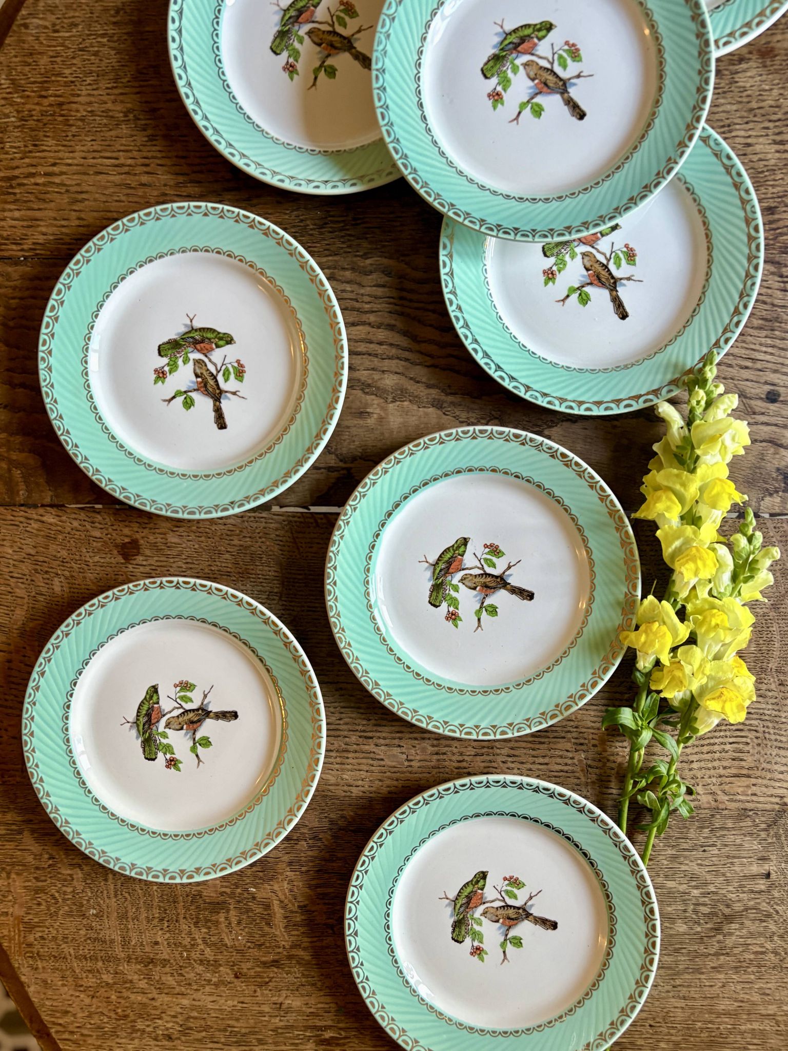 Lot de 8 assiettes à dessert vintage décors d'oiseaux