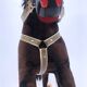 Vintage Mid-Century Wooden Rocking Horse Circa 1960s, Stuffed With Straw
