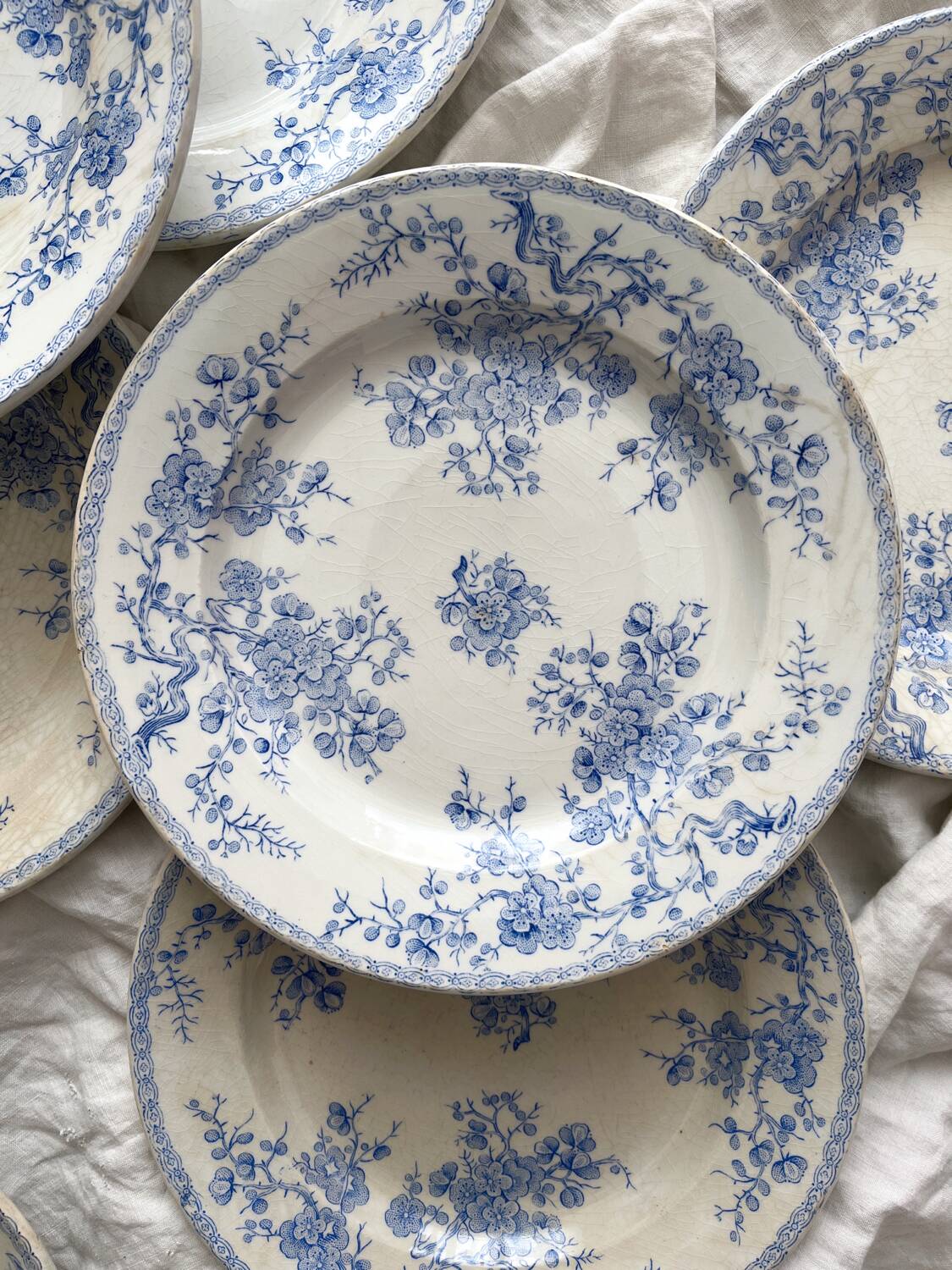 8 flat ironstone plates “Fleurette” Gien