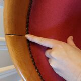 Burgundy velvet salon Swan neck