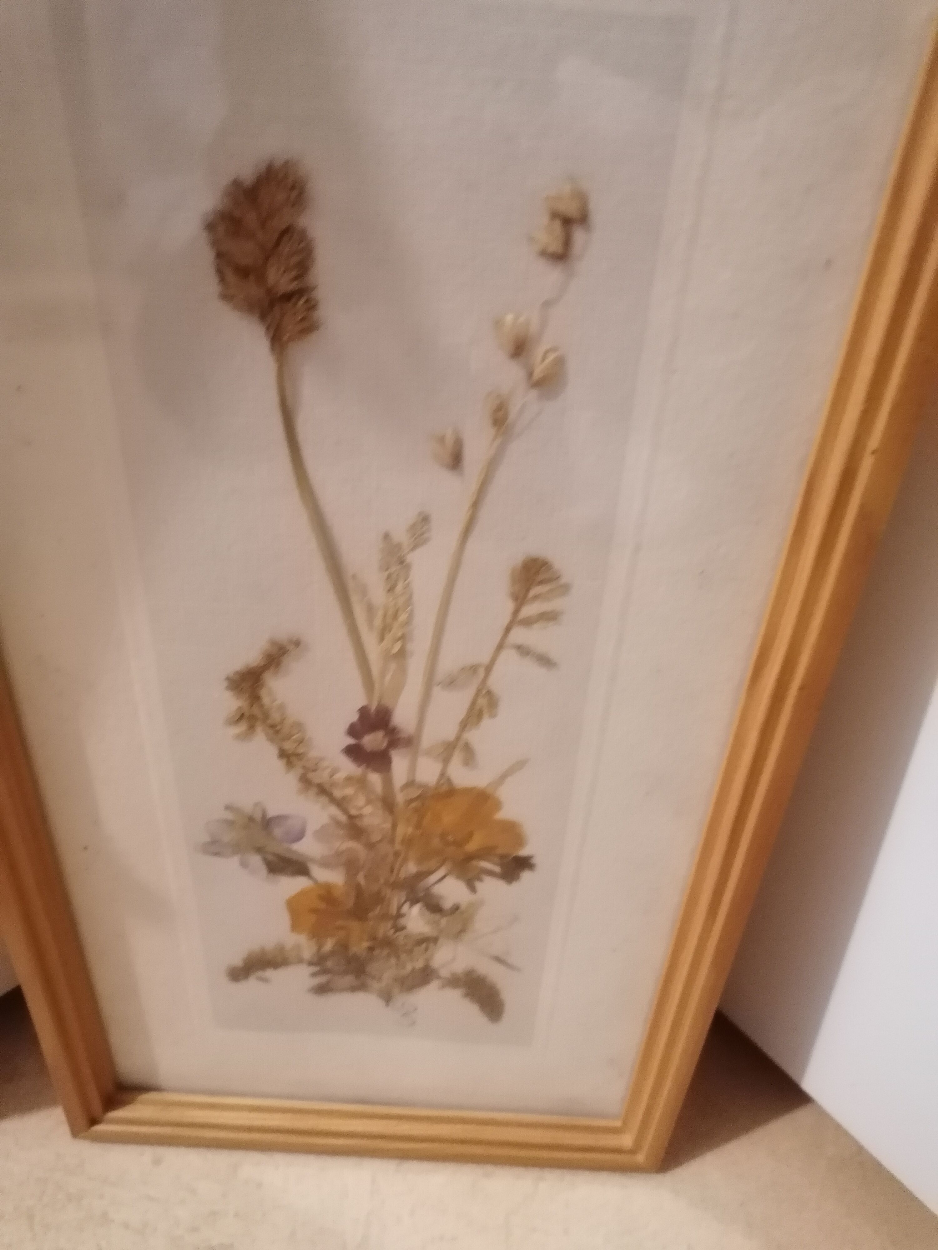 Frame dried flowers