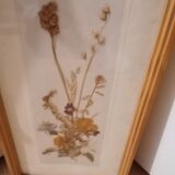 Cadre fleurs séchées