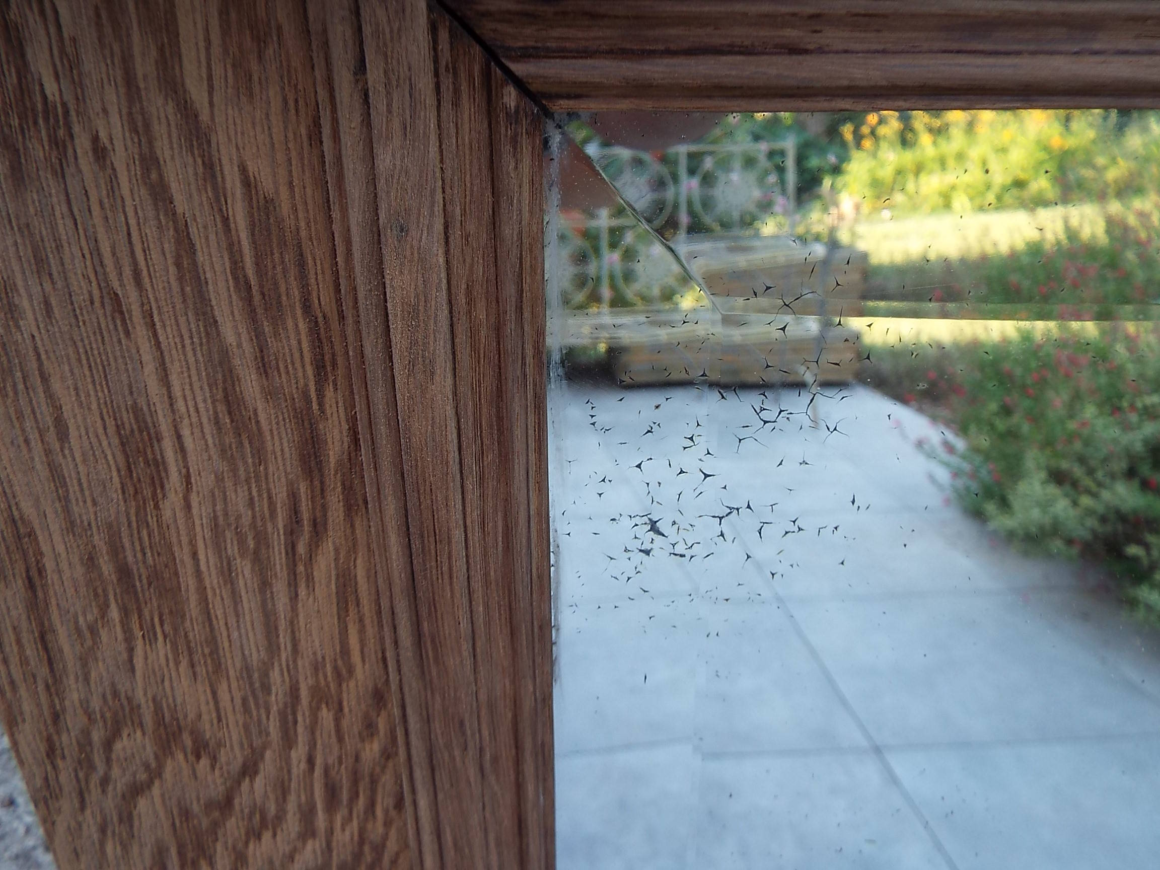 Old mirror henri ii light