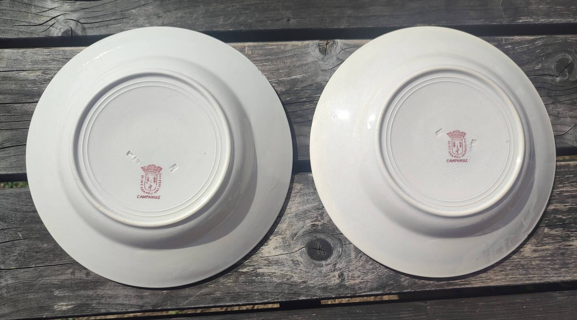 Set of two deep plates Terre de Fer Saint-Amand & Hamage model Campanule